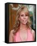 Cheryl Hines-null-Framed Stretched Canvas