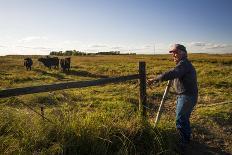 Lynn Ballagh Closing Gate on His Cattle Ranch-Cheryl-Samantha Owen-Photographic Print