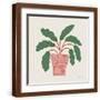 Brown Frame