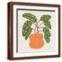 Brown Frame