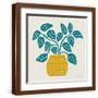 Brown Frame