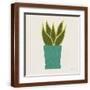 Brown Frame