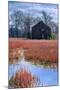 Chesapeake Barn-Steven Maxx-Mounted Photographic Print