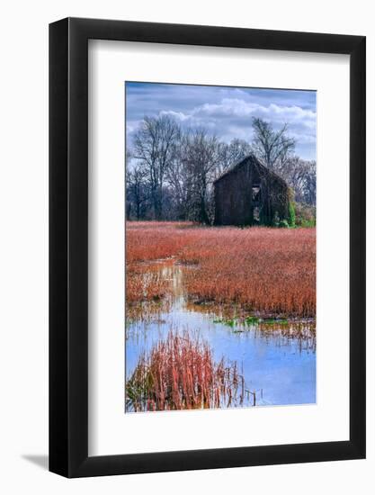 Chesapeake Barn-Steven Maxx-Framed Photographic Print