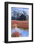 Chesapeake Barn-Steven Maxx-Framed Photographic Print