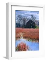 Chesapeake Barn-Steven Maxx-Framed Photographic Print