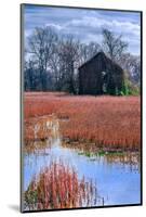 Chesapeake Barn-Steven Maxx-Mounted Photographic Print