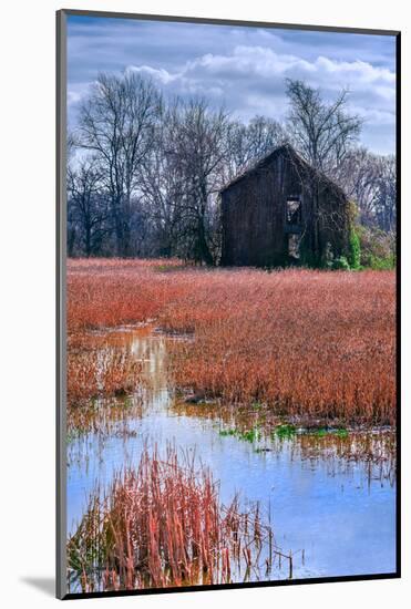 Chesapeake Barn-Steven Maxx-Mounted Photographic Print