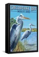 Chesapeake Bay, Maryland - Blue Heron-Lantern Press-Framed Stretched Canvas