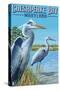 Chesapeake Bay, Maryland - Blue Heron-Lantern Press-Stretched Canvas