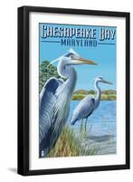 Chesapeake Bay, Maryland - Blue Heron-Lantern Press-Framed Art Print