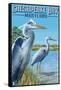 Chesapeake Bay, Maryland - Blue Heron-Lantern Press-Framed Stretched Canvas