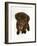 Chesapeake Bay Retriever Dog Pup, 'Teague', 9 Weeks Old Looking Up-Jane Burton-Framed Photographic Print