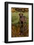 Chesapeake Bay Retriever in Autumn, Harrisville, Rhode Island, USA-Lynn M^ Stone-Framed Photographic Print