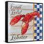 Chesapeake Lobster-Paul Brent-Framed Stretched Canvas