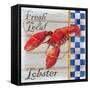 Chesapeake Lobster-Paul Brent-Framed Stretched Canvas