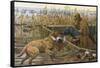 Chesapeake Retriever, Curly Coated Retriever and Irish Water-null-Framed Stretched Canvas