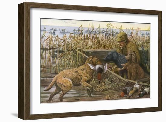 Chesapeake Retriever, Curly Coated Retriever and Irish Water-null-Framed Art Print