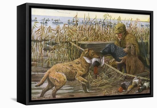 Chesapeake Retriever, Curly Coated Retriever and Irish Water-null-Framed Stretched Canvas