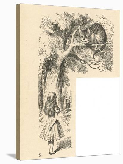 Cheshire Cat Alice Meets the Cheshire Cat-John Tenniel-Stretched Canvas