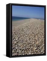 Chesil Bank, Dorset, England, United Kingdom, Europe-Pate Jenny-Framed Stretched Canvas