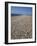 Chesil Bank, Dorset, England, United Kingdom, Europe-Pate Jenny-Framed Photographic Print