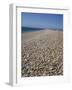 Chesil Bank, Dorset, England, United Kingdom, Europe-Pate Jenny-Framed Photographic Print