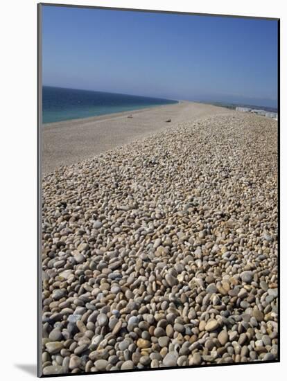 Chesil Bank, Dorset, England, United Kingdom, Europe-Pate Jenny-Mounted Photographic Print