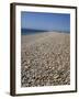 Chesil Bank, Dorset, England, United Kingdom, Europe-Pate Jenny-Framed Photographic Print