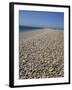 Chesil Bank, Dorset, England, United Kingdom, Europe-Pate Jenny-Framed Photographic Print