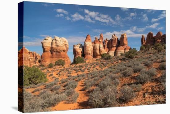 Chesler Park Canyonlands National Park, Utah-Alan Majchrowicz-Stretched Canvas