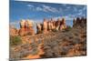 Chesler Park Canyonlands National Park, Utah-Alan Majchrowicz-Mounted Photographic Print