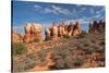 Chesler Park Canyonlands National Park, Utah-Alan Majchrowicz-Stretched Canvas