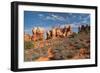 Chesler Park Canyonlands National Park, Utah-Alan Majchrowicz-Framed Photographic Print