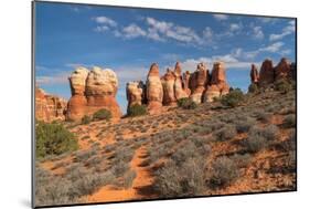 Chesler Park Canyonlands National Park, Utah-Alan Majchrowicz-Mounted Photographic Print