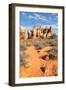 Chesler Park Canyonlands National Park, Utah-Alan Majchrowicz-Framed Photographic Print