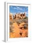 Chesler Park Canyonlands National Park, Utah-Alan Majchrowicz-Framed Photographic Print