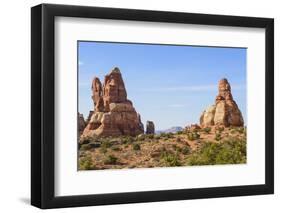 Chesler Park-Gary-Framed Photographic Print