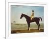 Chesnut Racehorse with Jockey Up on Newmarket Heath, 18th Century-John Byam Shaw-Framed Giclee Print