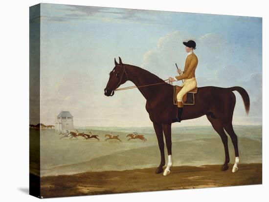 Chesnut Racehorse with Jockey Up on Newmarket Heath, 18th Century-John Byam Shaw-Stretched Canvas