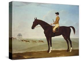 Chesnut Racehorse with Jockey Up on Newmarket Heath, 18th Century-John Byam Shaw-Stretched Canvas