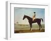 Chesnut Racehorse with Jockey Up on Newmarket Heath, 18th Century-John Byam Shaw-Framed Giclee Print