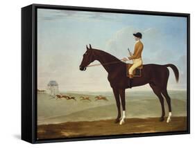 Chesnut Racehorse with Jockey Up on Newmarket Heath, 18th Century-John Byam Shaw-Framed Stretched Canvas