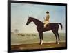 Chesnut Racehorse with Jockey Up on Newmarket Heath, 18th Century-John Byam Shaw-Framed Giclee Print