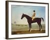 Chesnut Racehorse with Jockey Up on Newmarket Heath, 18th Century-John Byam Shaw-Framed Giclee Print