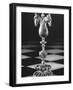 Chess Piece-Hansel Mieth-Framed Photographic Print