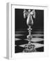 Chess Piece-Hansel Mieth-Framed Photographic Print