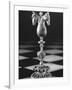 Chess Piece-Hansel Mieth-Framed Photographic Print