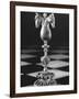 Chess Piece-Hansel Mieth-Framed Photographic Print