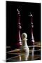 Chess Pieces-Charles Bowman-Mounted Photographic Print